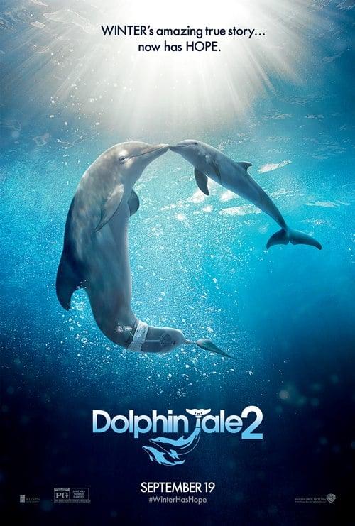 ดูหนังออนไลน์ Dolphin Tale 2 เต็มเรื่อง