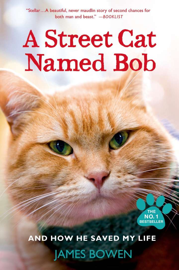 ดูหนัง A Street Cat Named Bob