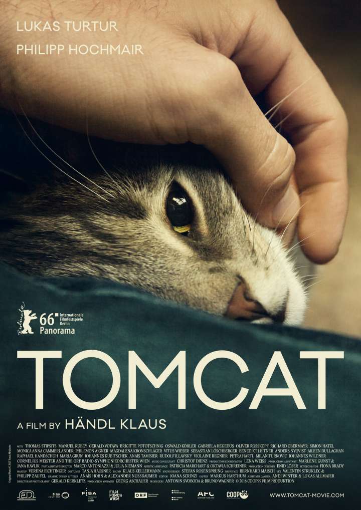 ดูหนัง Tomcat (Kater) HD เต็มเรื่อง มาสเตอร์